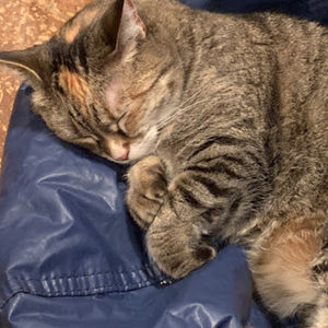 Meet your Posher, Brooke